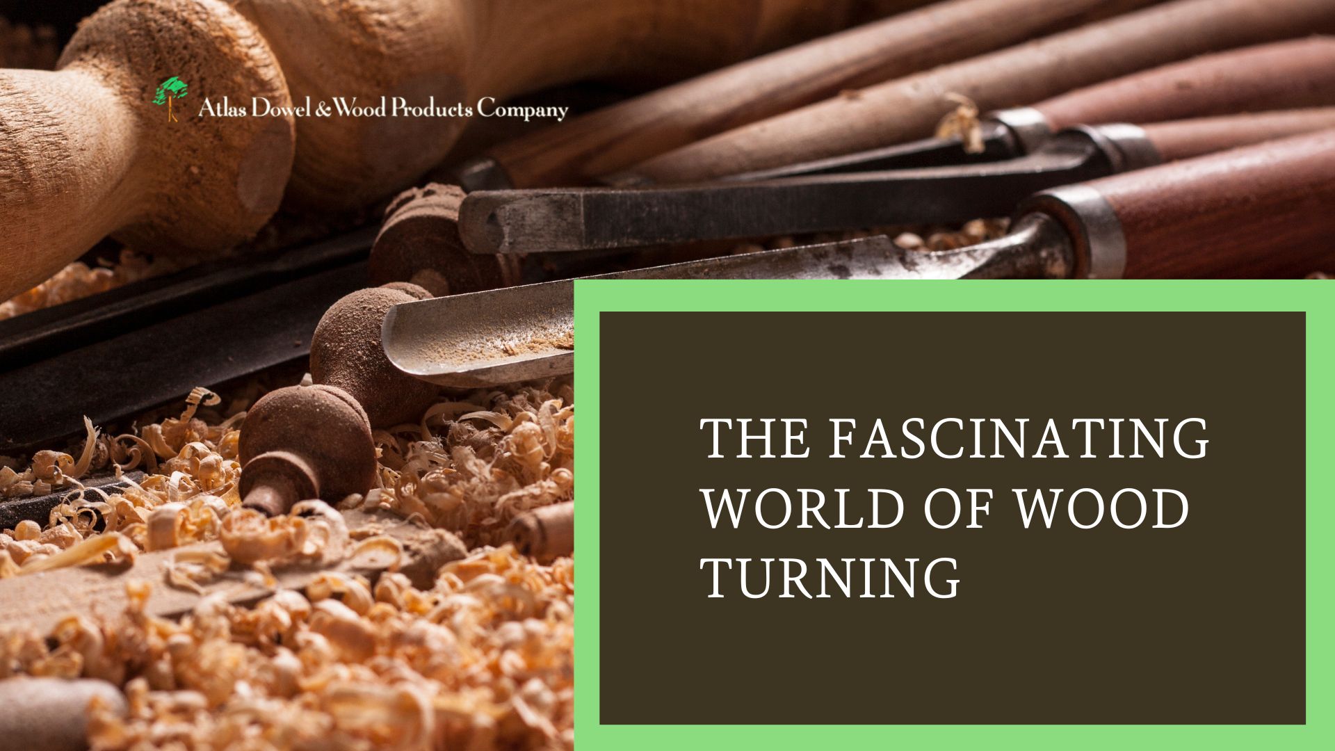 The Fascinating World of Wood Turning